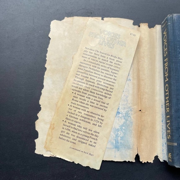 Voices From Other Lives by Thorwald Dethlefsen - Picture 3 of 10